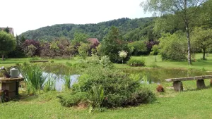 Image of Pied des Milles Etang - Les Capucins