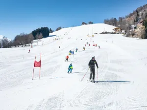 Image of Holiday Home in Niedernsill Near ski Area
