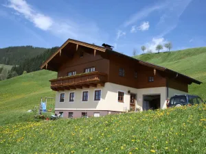 Image of Apartment near the ski area in Wagrain