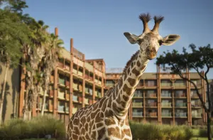 Image of Disney's Animal Kingdom Lodge