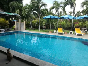 Image of Lonops Gay Paradise