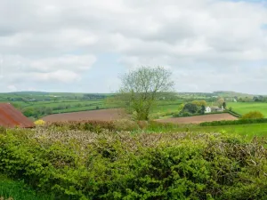Image of The Weary Friar Inn
