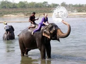 Image of Chitwan Forest Resort , Chitwan National Park