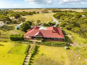 Image of Condor Estate Spacious with Vineyard & Fireplace