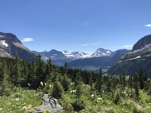 Image of Ol243