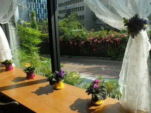 Image of Ehwa In Myeongdong