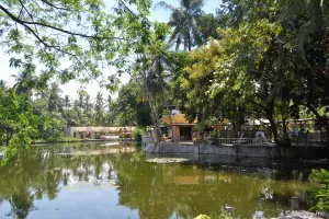 Image of Amandari Cove