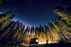 Image of CABN Kuitpo Forest
