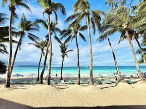 Image of Calypso Beach and Dive Resort