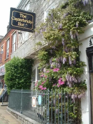 Image of The Casterbridge