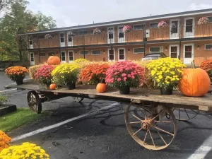 Image of Cianci's Motel and Suites