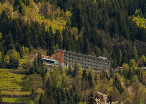 Image of The Comodo Bad Gastein, a Member of Design Hotels