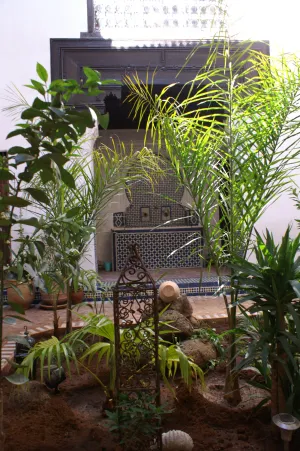 Image of Riad Felloussia