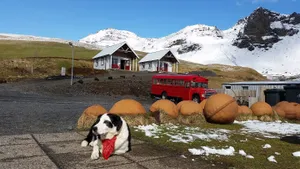 Image of Norður-Vík