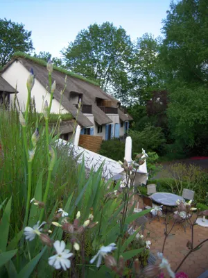 Image of Le Petit Coq aux Champs - Teritoria