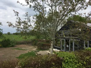 Image of In het huis van Jo Daggert