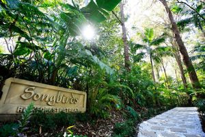 Image of Songbirds Rainforest Retreat