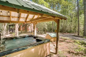 Image of Helen Area Rustic Retreat about 5 Miles to Main Street