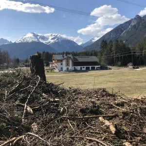 Image of Bucherhof