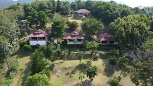 Image of Freedom Estate sea view Apartments