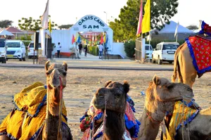 Image of Oasis camp sam