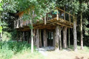 Image of Cabane dans les Arbres - Tree House