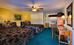 Image of Downtowner Inn