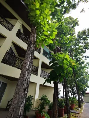 Image of Century Langkasuka Resort Langkawi