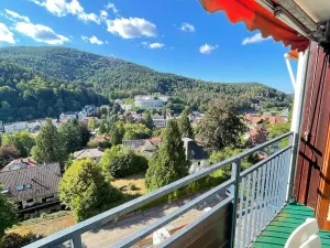 Image of Apartment in Bad Herrenalb with indoor pool