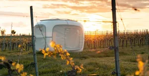 Image of Romantik zwischen Weinreben - Cube