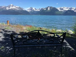 Image of Angels Rest on Resurrection Bay LLC