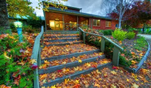 Image of Discovery Parks - Bright