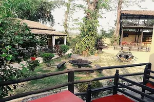 Image of Island Jungle Resort