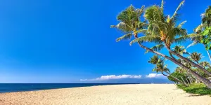 Image of Kaanapali Shores 435