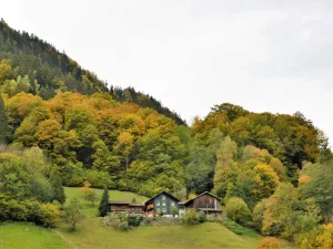 Image of Cozy Apartment near Ski Area in Tschagguns