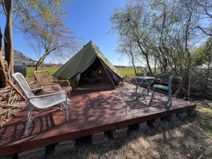 Image of Eco-Camping De Helleborus, Yurt, Bell & Safari tent, Pipo, Caravans, Dorms and Units
