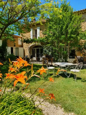 Image of La Mandarine