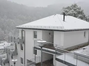 Image of Modernes Apartment mit Zentralheizung in Willingen