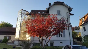 Image of Casa Carmela