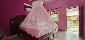 Image of Abba's Glory Land - Agonda