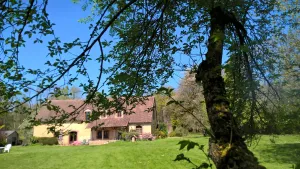 Image of Chambres d'hôtes Domaine De La Jonquière, Bouloire