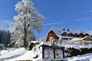 Image of Hotel Vitaler Landauerhof