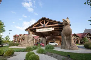Image of Great Wolf Lodge Mason