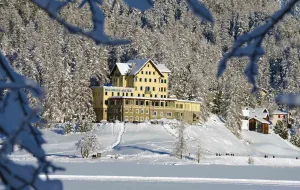 Image of Hotel Waldhaus am See