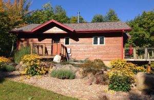 Image of The Bear Cabin