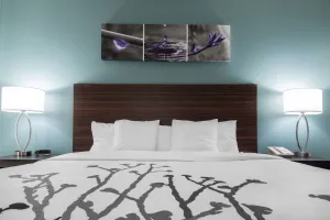 Image of Sleep Inn & Suites Washington near Peoria