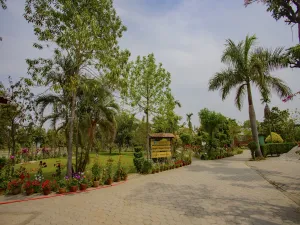 Image of Jungle Nepal Resort