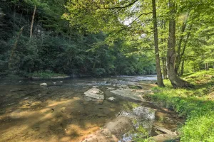 Image of Grill and River Access Tiny Cabin in Sparta!
