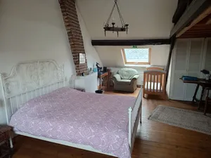 Image of La maison des chiens