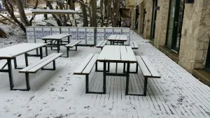 Image of Twin Towers 504B